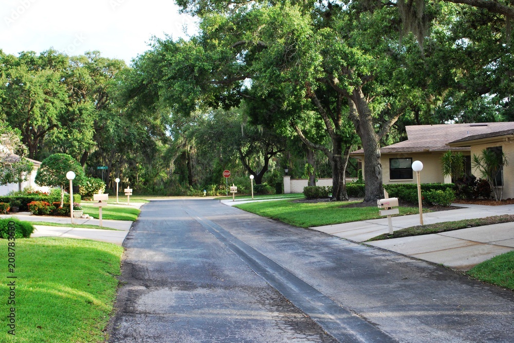 Quiet city residential street