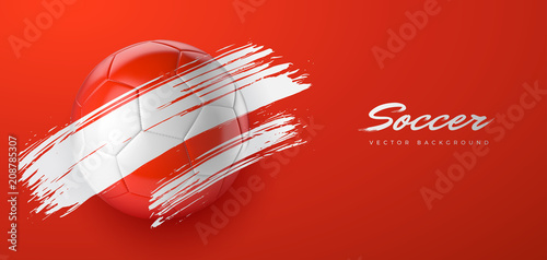 Ballons de football vectoriel 21

