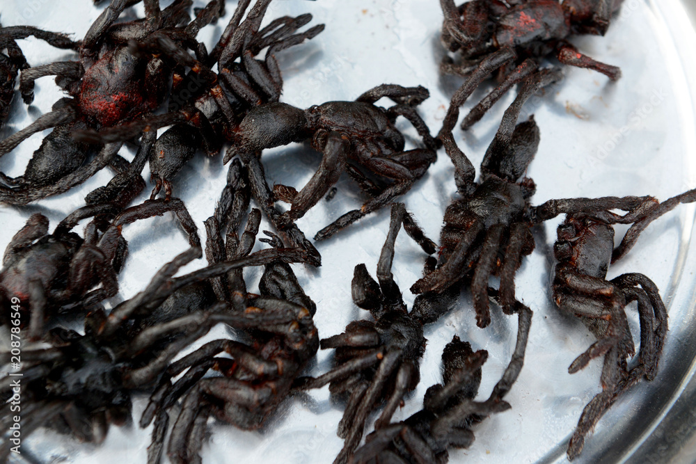 Obraz premium CAMBODIA SIEM REAP OLD MARKET FOOD SPIDER