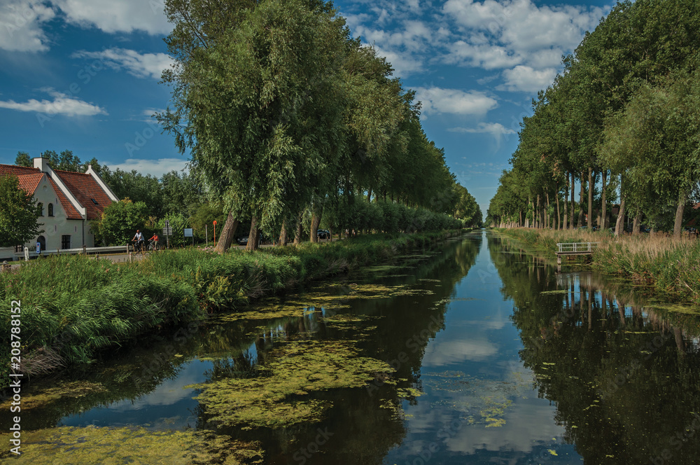 Obraz premium Houses, bushes and grove along canal with sky reflected on water, in the late afternoon and blue sky, near Damme. A quiet and charming countryside old village near Bruges. Northwestern Belgium.