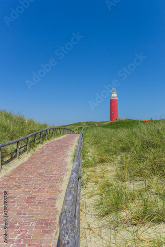 Path leading to the lighthouse on Texel island  The Netherlands