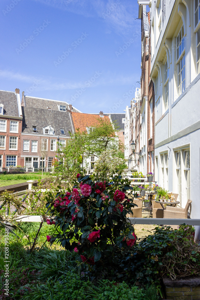 Begijnhof, beautiful secret spot in amsterdam