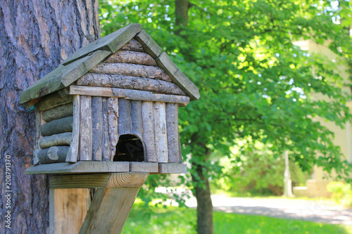 Wooden Small House on the Tree Trunk at the Forest. Tree House and Bird Feeder Isolated on Summer Green Trees Background Close Up View. Empty Birdhouse Made from Wood Outdoors at the Park.