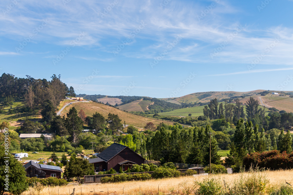 A landscape of the golden hillsides of California. Green trees are inspirsed. Occational house are on the hillside, A big blue sky with clould is overhead.