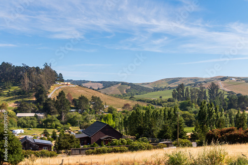 A landscape of the golden hillsides of California. Green trees are inspirsed. Occational house are on the hillside, A big blue sky with clould is overhead. photo