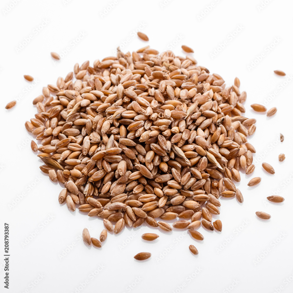 spelt seeds on a white acrylic background spelt seeds on a white acrylic background