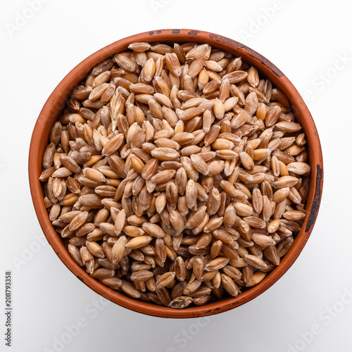 spelt seeds on a white acrylic background