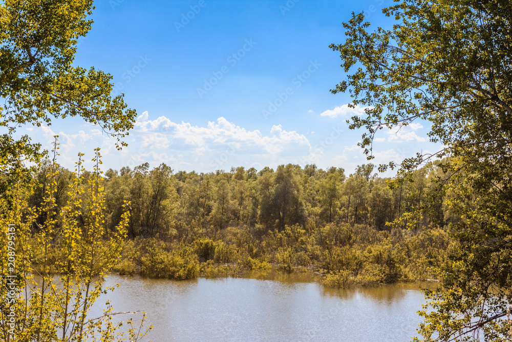 Beautiful rural landscape with lake and forest in Siberia
