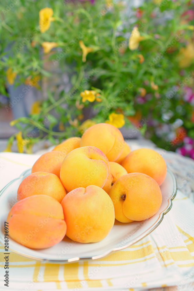 Frische Aprikosen in einer Schale stehen auf einem Tisch im Garten