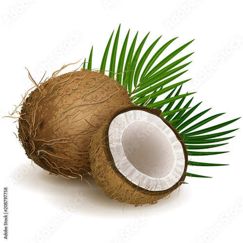 Coconut