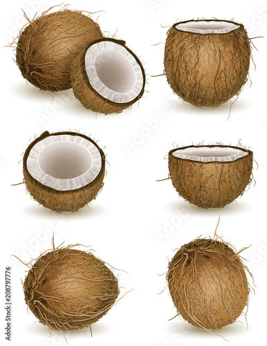 Coconut
