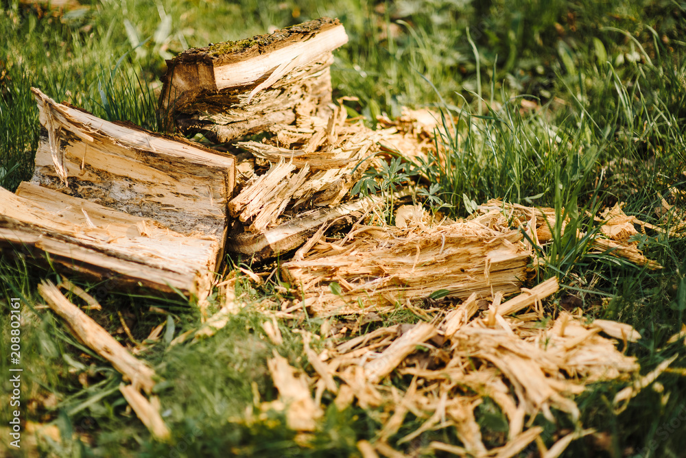 A pile of cut tree trunks giving a nice view of the concentric year rings.Pile of wood logs storage A pile of cut tree trunks giving a nice view of the concentric year rings.Pile of wood logs storage