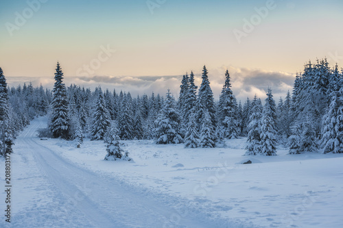 Winter wonderland © Photo Collective