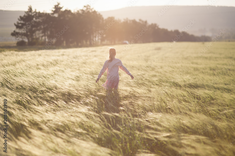 free little child walking among summer field of wheat outdoor leisure lifestyle