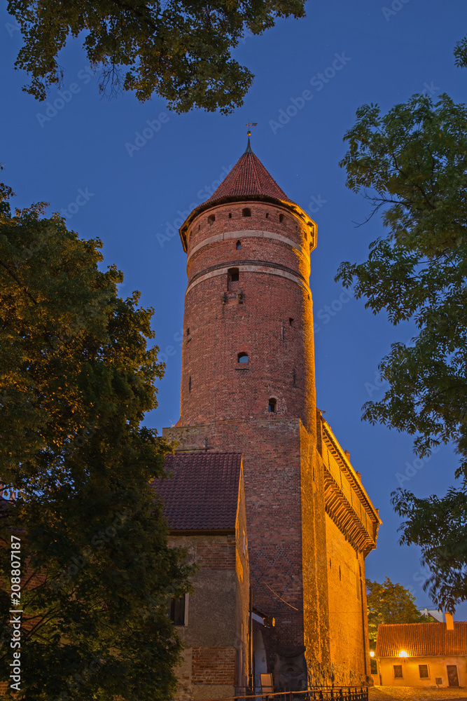 Olsztyn, Burg