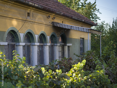 Shrubs outside a house, Kladovo, Bor District, Serbia photo