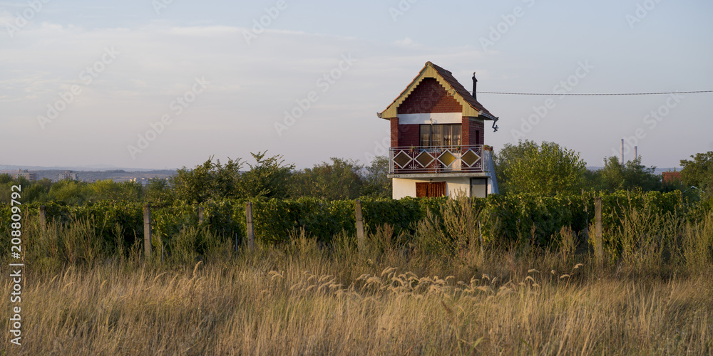 Farmhouse in a field, Kostol, Kladovo, Bor District, Serbia Farmhouse in a field, Kostol, Kladovo, Bor District, Serbia