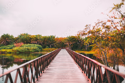 A colorful wooden bridge stretching into the vanishing point with muskeg pond on the sides and the rainforest in the distance, overcast summer day, Praia do Forte, state Bahia, Brasil
