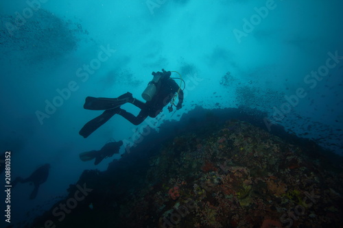 Female Scuba Diver and Colorful reef fish blue ocean and bright coral underwater © DaiMar