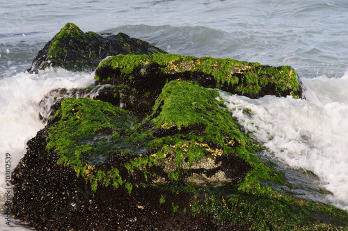 Ocean Jetty