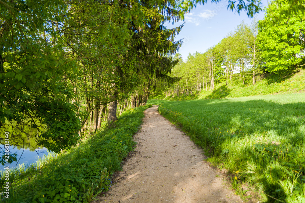 Droga pośród łąk i drzew w Szurpiłach pod Górą Zamkową