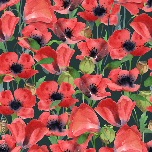 Seamless pattern of red poppy flowers  leaves and poppy head isolated on white background