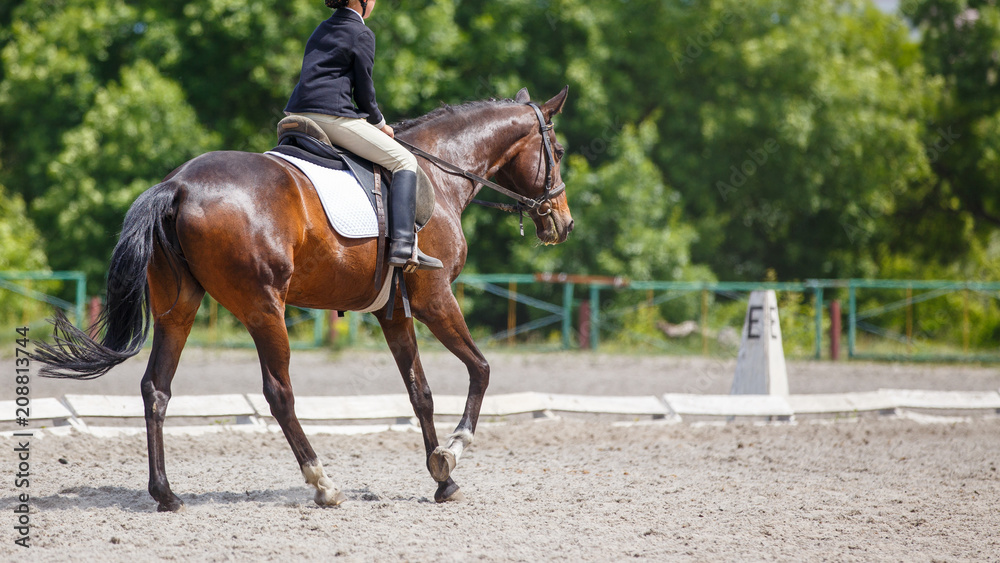 Obraz premium Young girl riding horse on equestrian competition. Equestrian dressage sport background with copy space