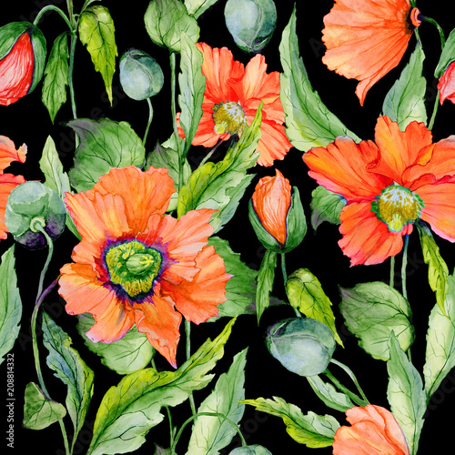 Beautiful red poppy flowers with green leaves on black background. Seamless f...