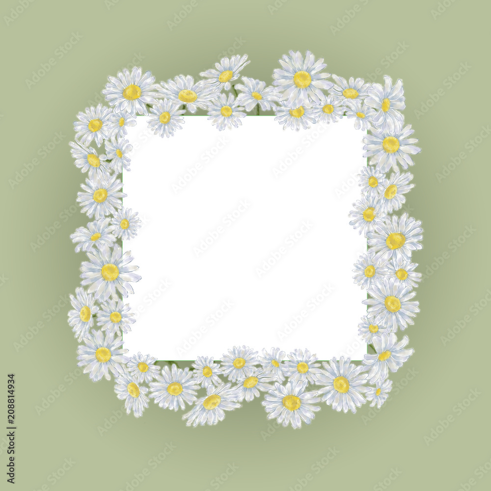 Daisy Frame on Green Background with Text Copy Space Isolated on White. Chamomiles Framing the Square Card for Announcement, Advertising, Invitation, Greeting Message etc. Daisy Frame on Green Background with Text Copy Space Isolated on White. Chamomiles Framing the Square Card for Announcement, Advertising, Invitation, Greeting Message etc.