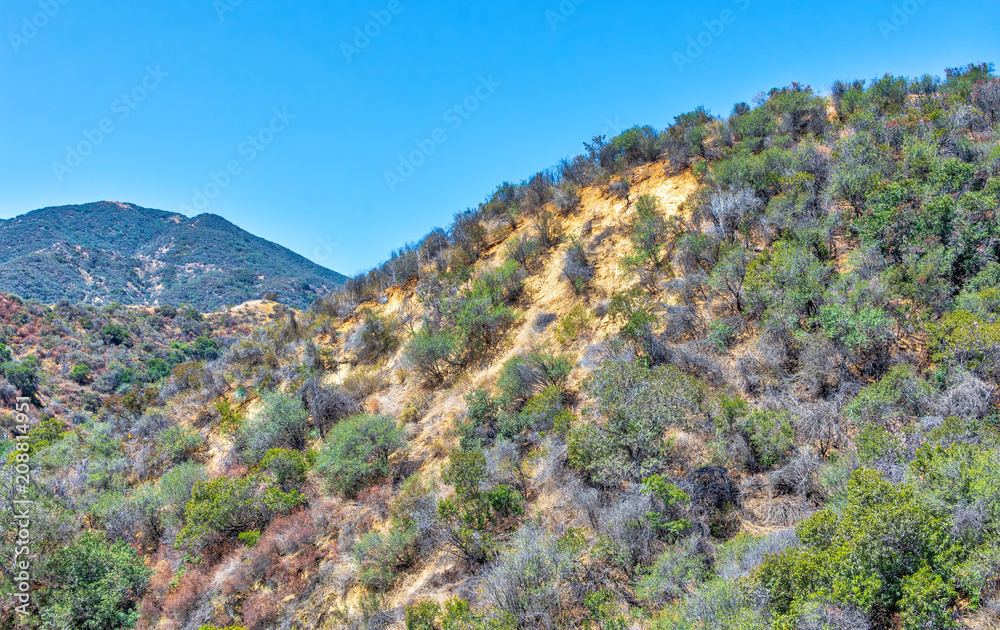 Dry summer hiking area in Southern California mountains on extremely hot day