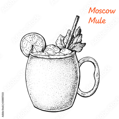 Moscow Mule cocktail illustration. Alcoholic cocktails hand drawn vector illustration. Sketch style.