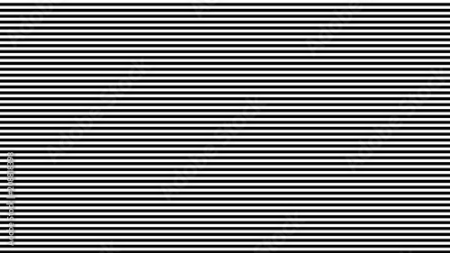 Black and White Stripes photo