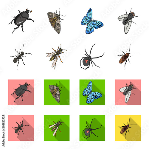 An insect arthropod, an osa, a spider, a cockroach. Insects set collection icons in cartoon,flat style vector symbol stock isometric illustration web.