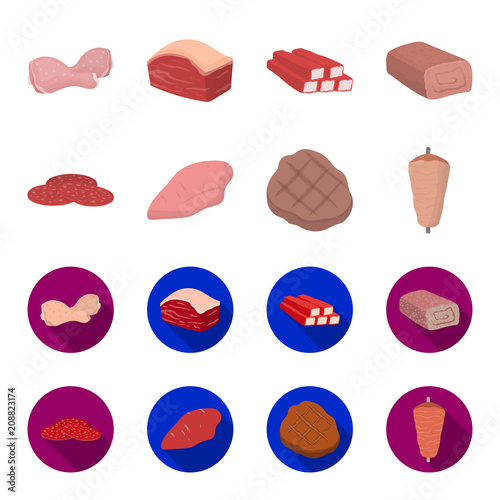 Pieces of salami, turkey fillet, grilled steak, kebab.Meat set collection icons in cartoon,flat style vector symbol stock illustration web.