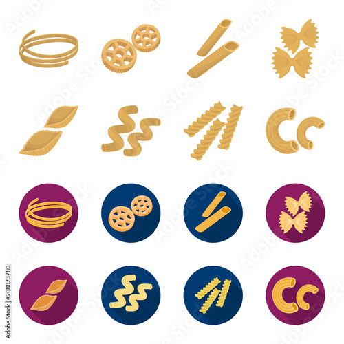 Different types of pasta. Types of pasta set collection icons in cartoon,flat style vector symbol stock illustration web.