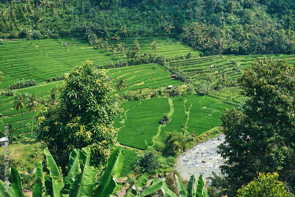 Beautiful lanscape with green valley, rice fields and mountains. Bali Indonesia.