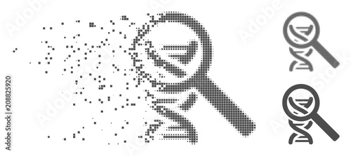 Gray vector DNA analysis icon in fractured, pixelated halftone and undamaged solid variants. Disintegration effect uses rectangular dots. Cells are arranged into disappearing DNA analysis form.