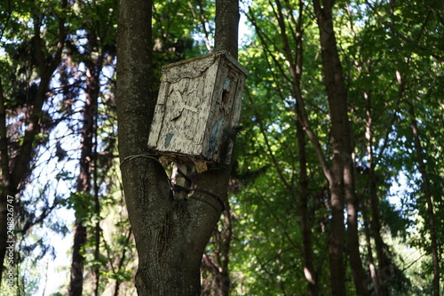 Fototapeta Naklejka Na Ścianę i Meble -  A birdhouse in the forest