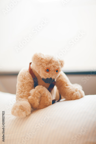 little cute, adorable teddy bear sitting on a pillow, waiting for somebody to cuddle, looking a bit sad