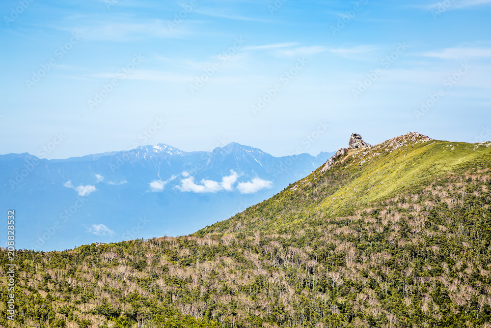 Naklejka premium 新緑の山