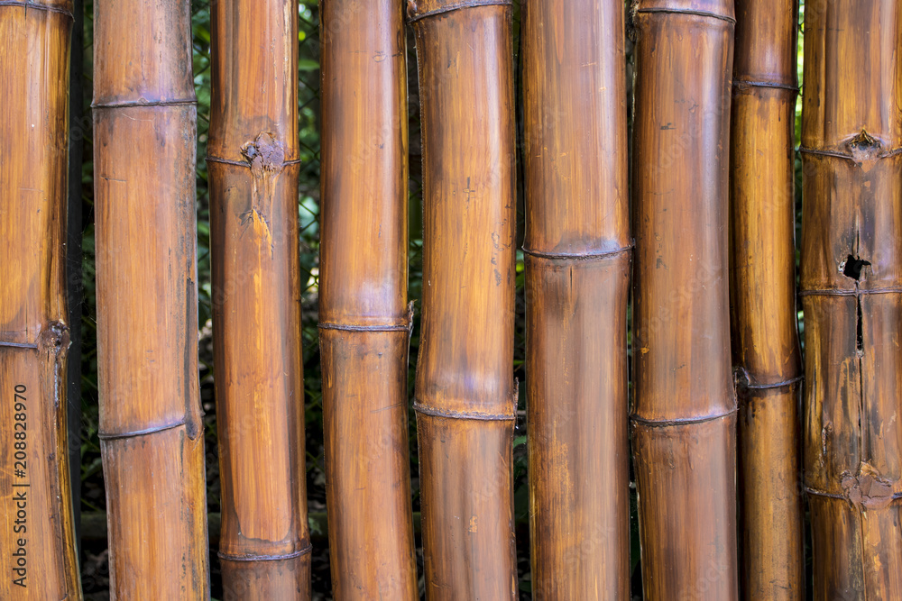 Closeup of Deep Brown Bamboo Fence Closeup of Deep Brown Bamboo Fence