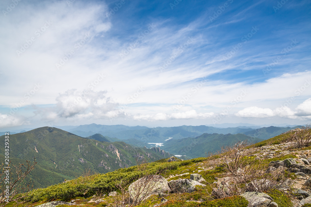 Naklejka premium 新緑の山