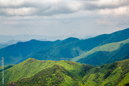 新緑の山