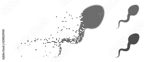 Grey vector spermatozoon icon in dissolved, dotted halftone and undamaged whole variants. Disintegration effect uses rectangular dots. Pieces are composed into disappearing spermatozoon form.