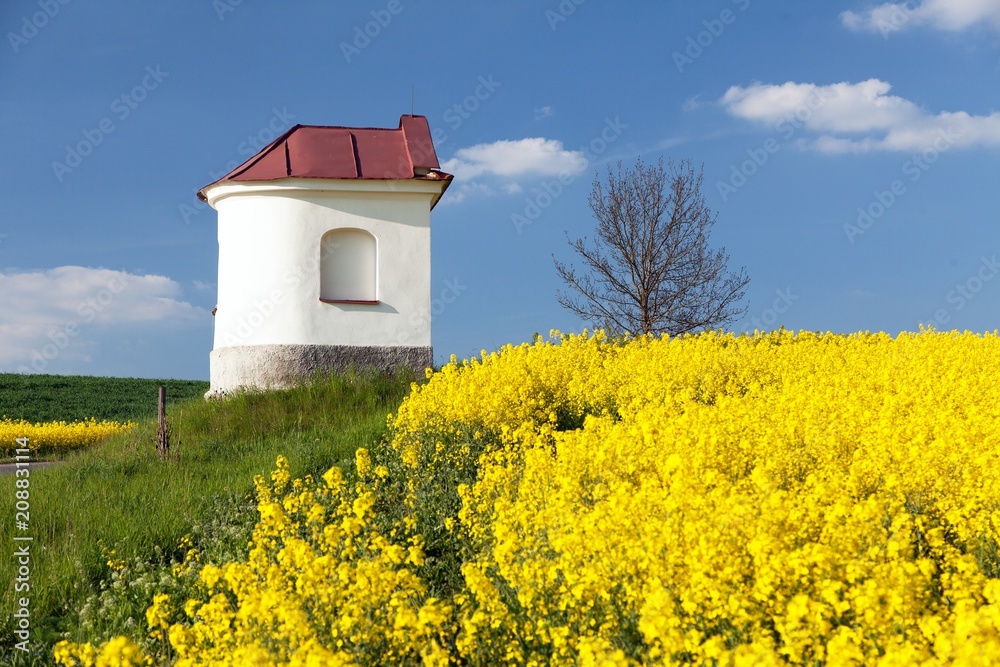 Field of rapeseed and small white chapel
