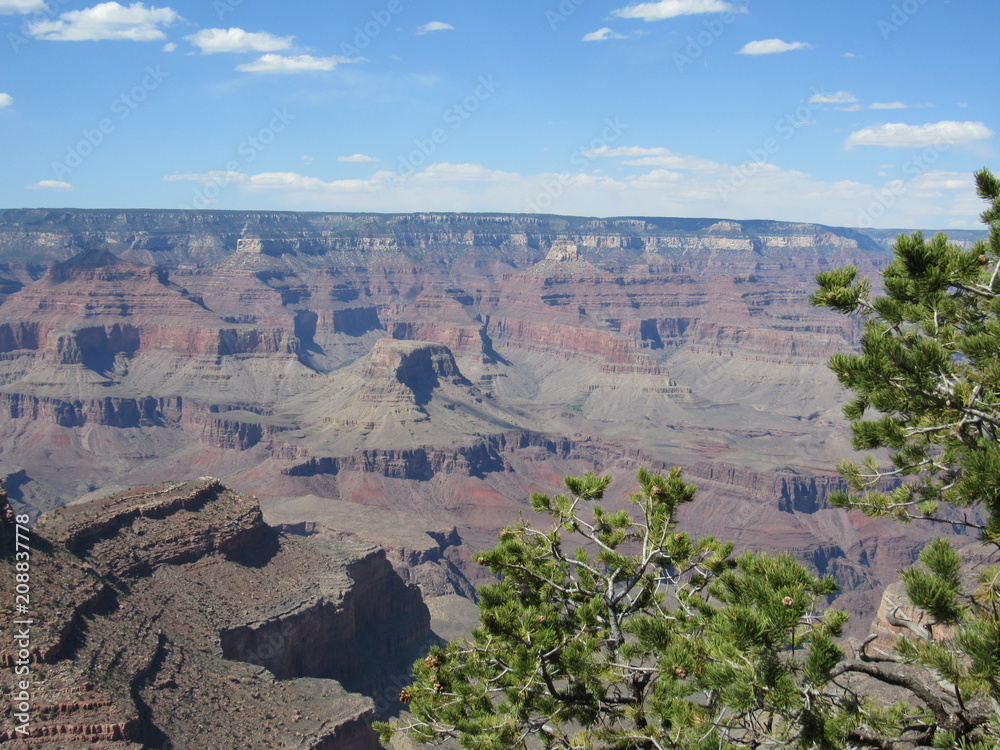 Picturesque view of the Grand Canyon on a sunny day, view from the South Rim Trail 