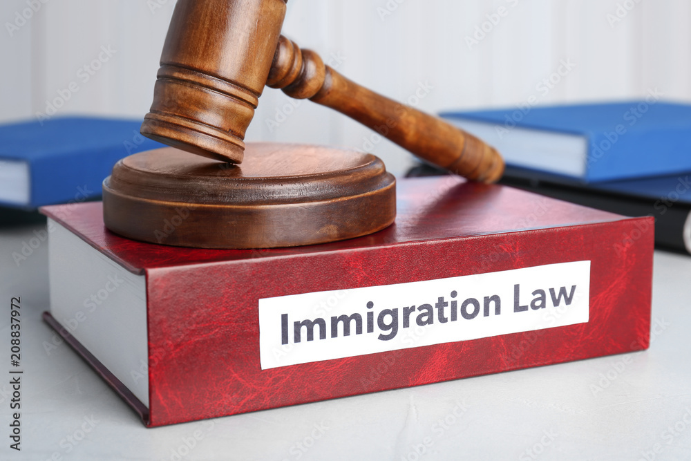Book with words IMMIGRATION LAW and gavel on table