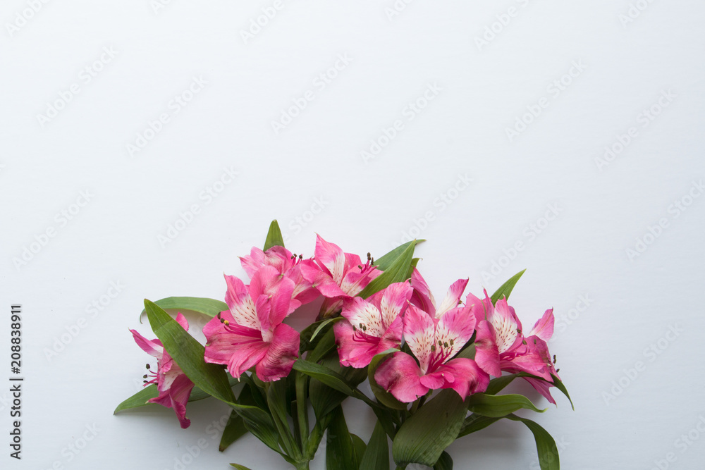 Pink Floral Desktop Mockup