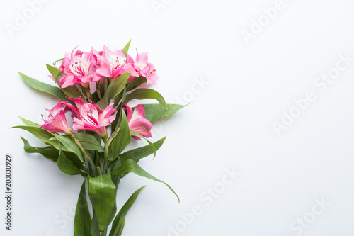 Fototapeta Naklejka Na Ścianę i Meble -  Pink Floral Desktop Mockup