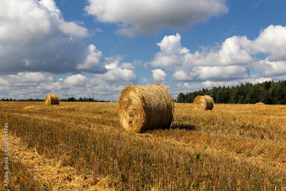 a haystack in a field in autumn.